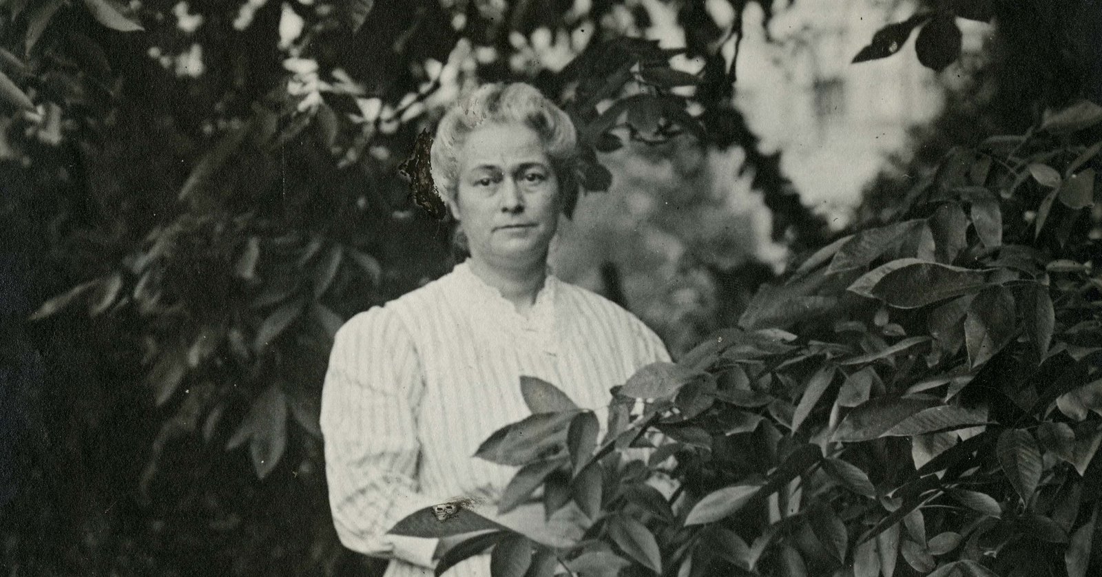 The 22-Year-Old Who Helped Invent Modern Birdwatching