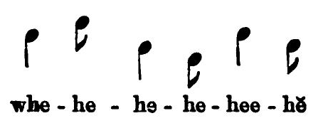 Florence Merriam Bailey's transcription of the White-crowned Sparrow song as 'whe-he-he-he-hee-ho' beneath the inline music notation.
