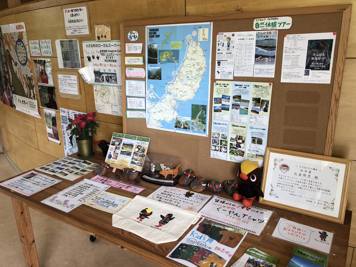 Interior of the Yambaru Wildlife Conservation Center: a bulletin board with a map of Okinawa, conservation posters, and a table of Yanbaru kuina plush mascots and educational materials about the endemic species.