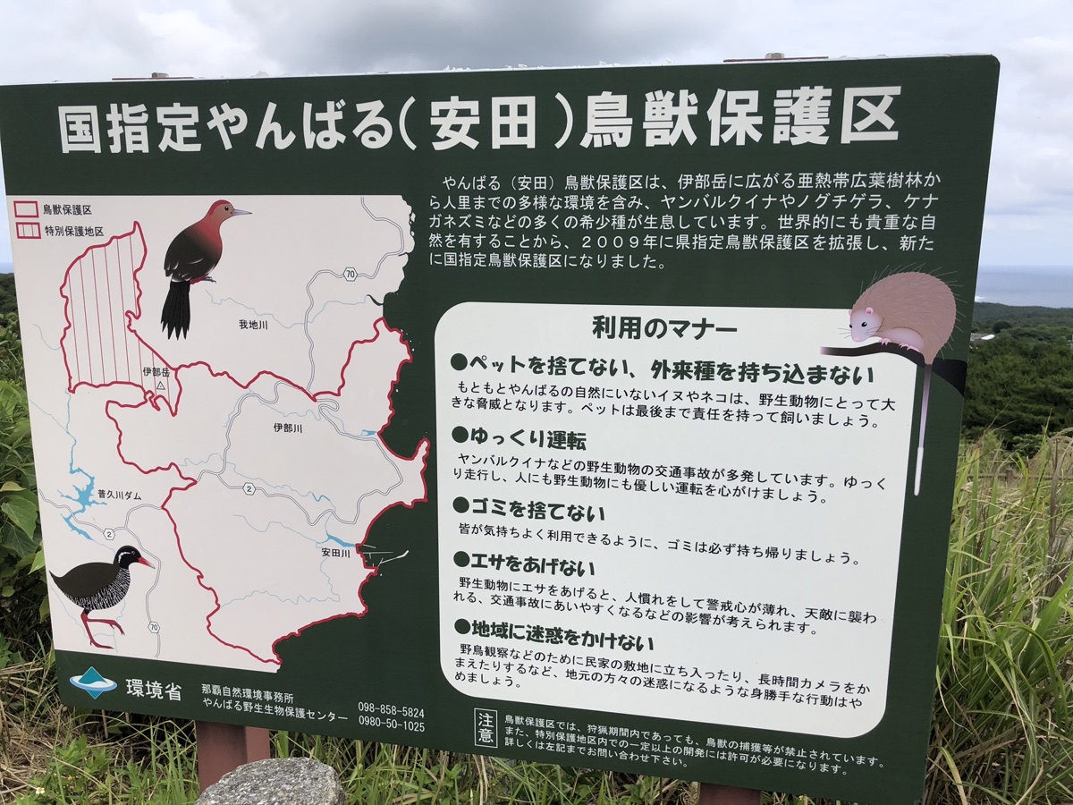 Yanbaru Wildlife Protection Area visitor information sign showing a map of the protected area, illustrations of the Okinawa Rail and Okinawa Woodpecker, and a panel of visitor rules in Japanese.